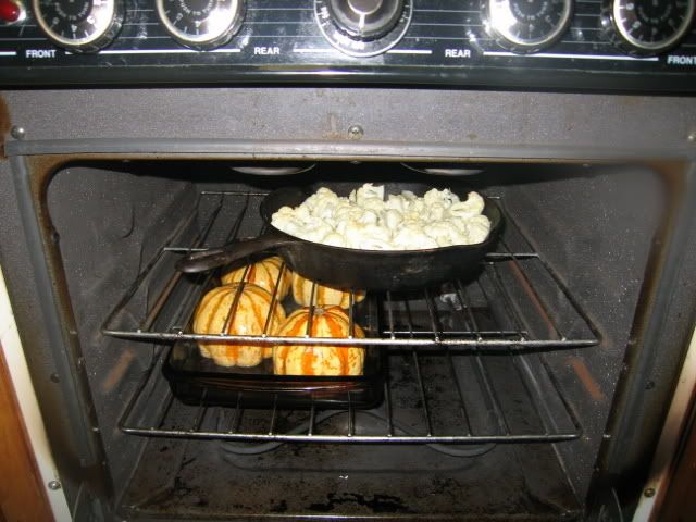 IMG_2850.jpg