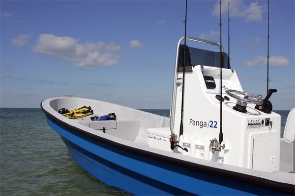 panga22_bow1_l.jpg