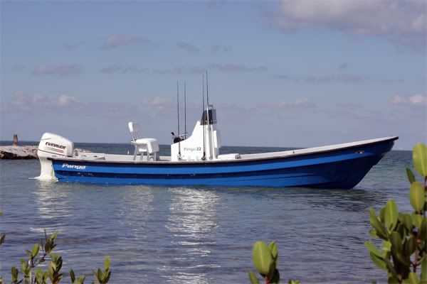 panga22_wide1_l.jpg