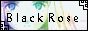 BlackRose4565