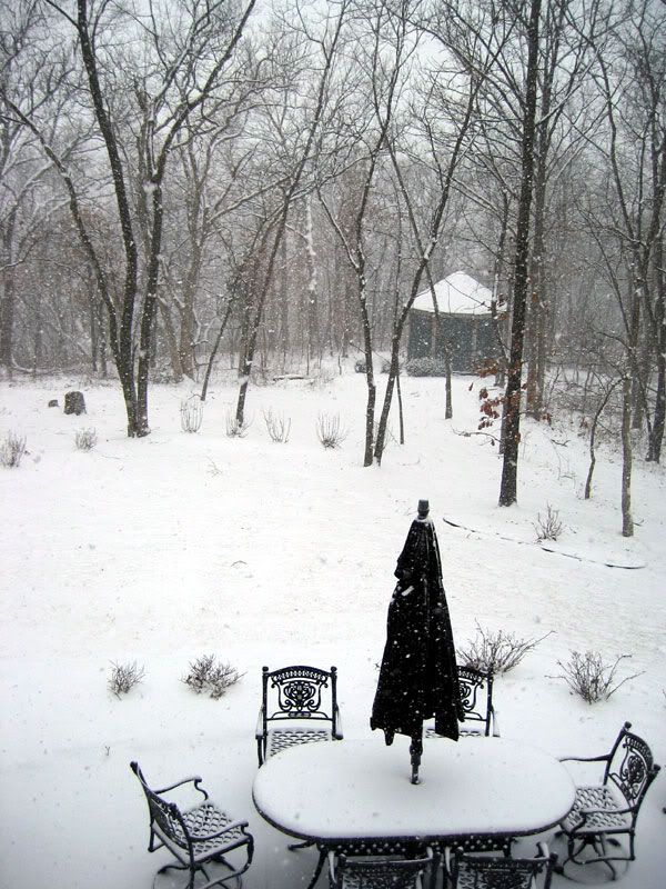 http://img.photobucket.com/albums/v206/srpatterson/snow.jpg