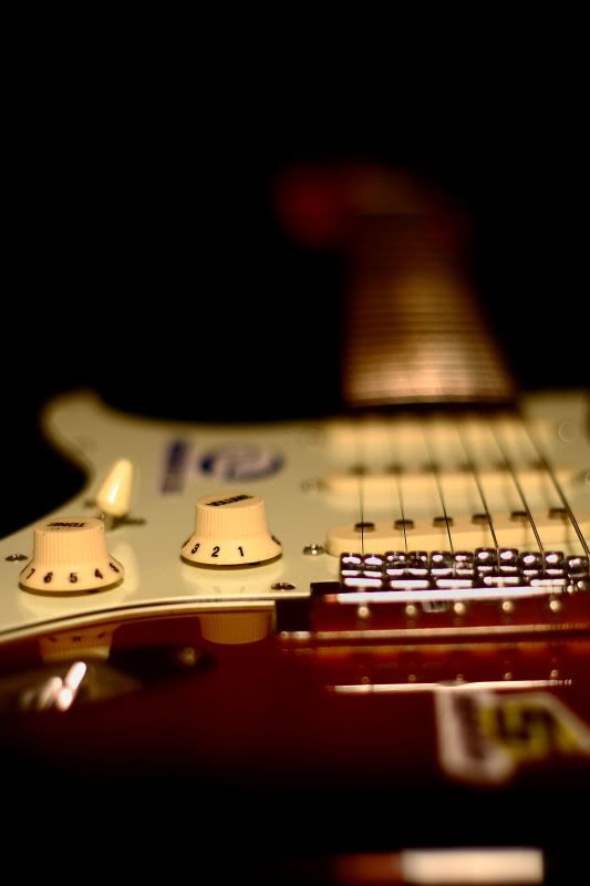 IMAGE: http://img.photobucket.com/albums/v207/TLRspud/IMG_17382.jpg