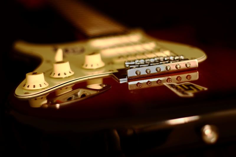 IMAGE: http://img.photobucket.com/albums/v207/TLRspud/IMG_17392.jpg