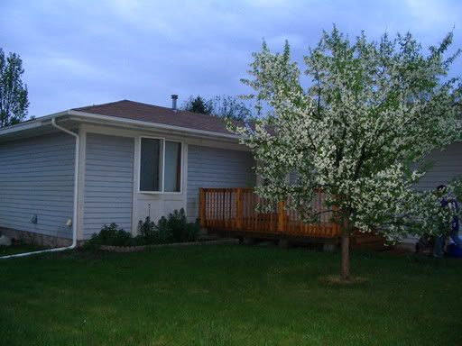 Image hosted by Photobucket.com