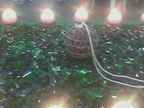 Image hosted by Photobucket.com