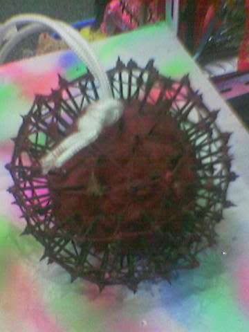 Image hosted by Photobucket.com