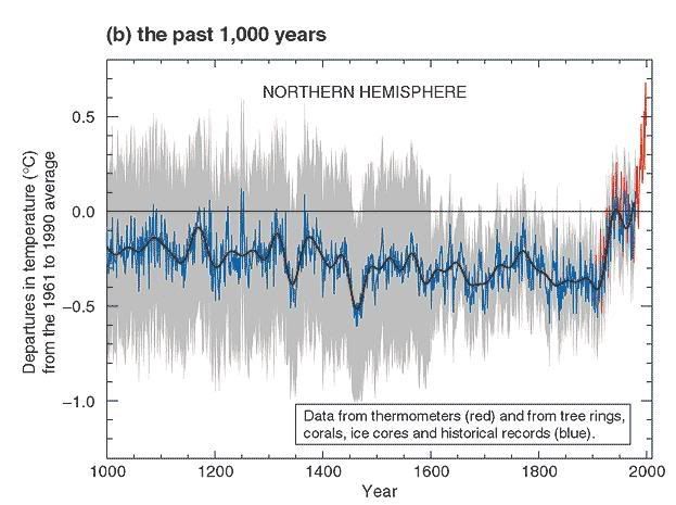 IPCC_past_1000years.jpg
