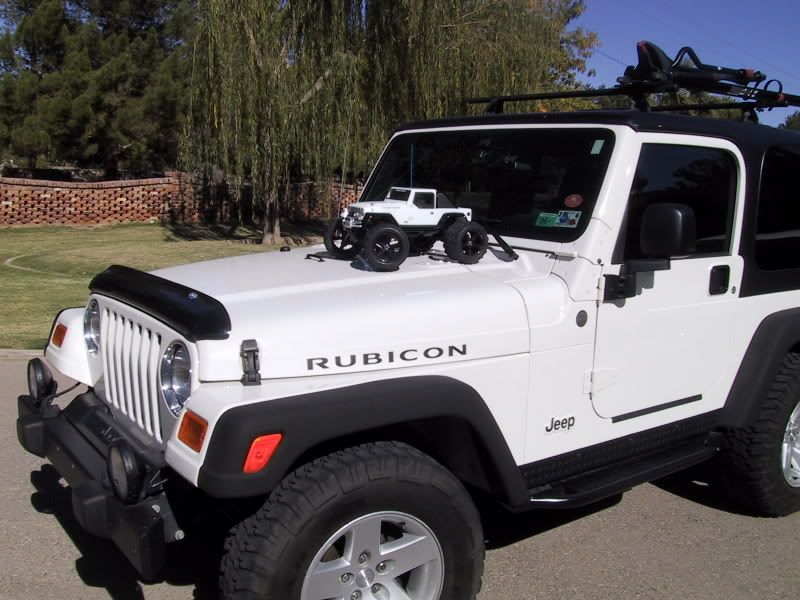 LINEX'd fender flarespic Rubicon Owners Forum