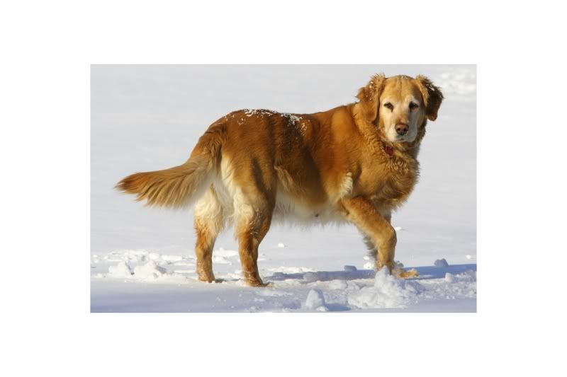 IMAGE: http://img.photobucket.com/albums/v208/MATREDGT/mumma.jpg