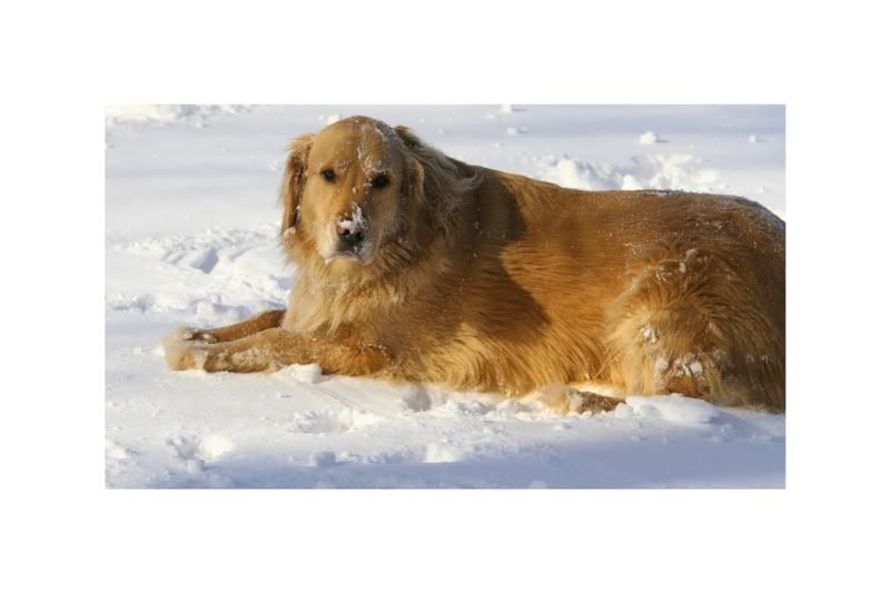 IMAGE: http://img.photobucket.com/albums/v208/MATREDGT/teddi.jpg