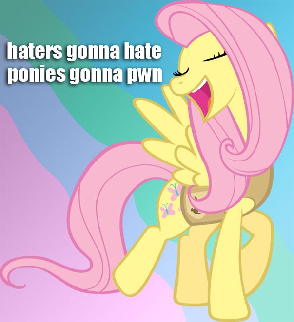 458028-24005___fluttershy_haters_gonna_h