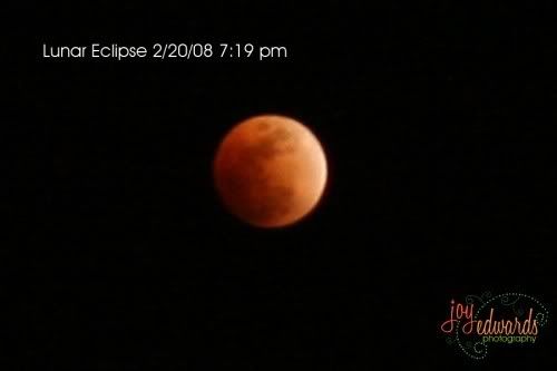 Eclipse3500x333.jpg