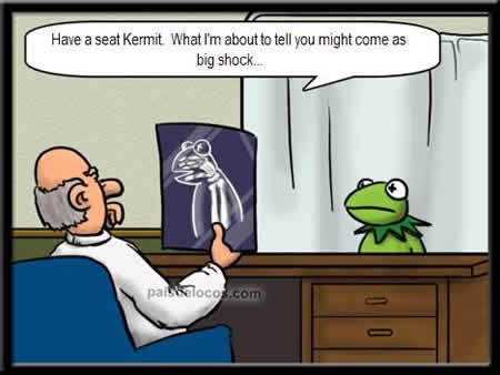 Kermit.jpg