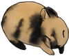 Kuva