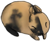 Kuva