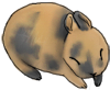 Kuva