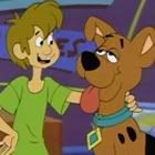 pup_named_scooby_av.jpg