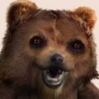 worse_with_bears_av.jpg