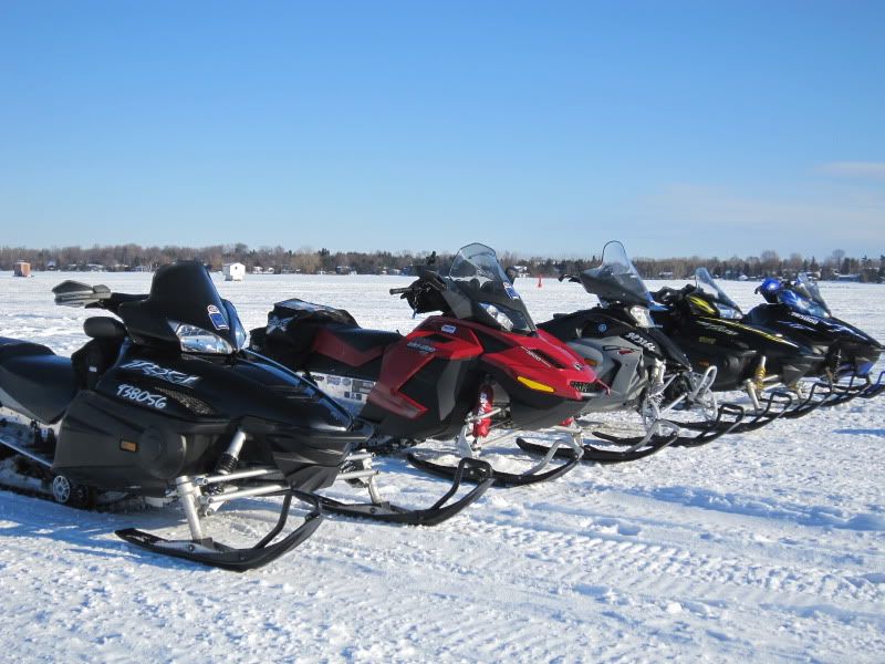 IMG_2955.jpg