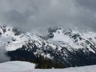 Whistler: photo by Mike Ligon