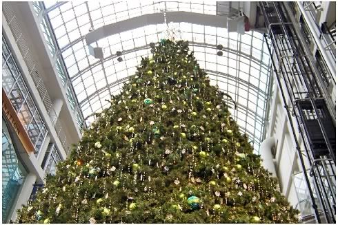 Christmas Tree at Eaton Centre