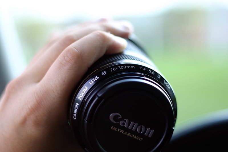 IMAGE: http://img.photobucket.com/albums/v21/beeesh/newlens.jpg