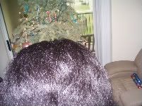Picture390-1.jpg