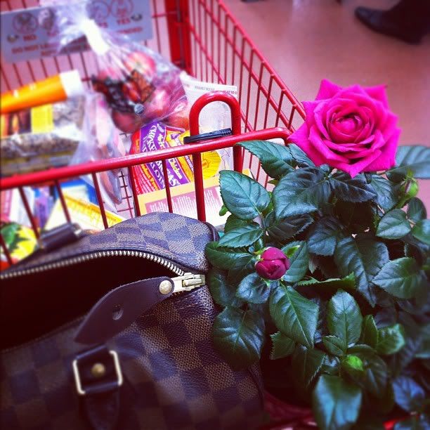 roses trader joes