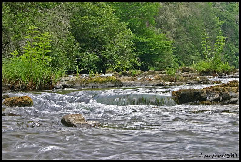 IMAGE: http://img.photobucket.com/albums/v210/JasonNugent/Nature%20and%20Landscape/IMG_7448-800edit.jpg