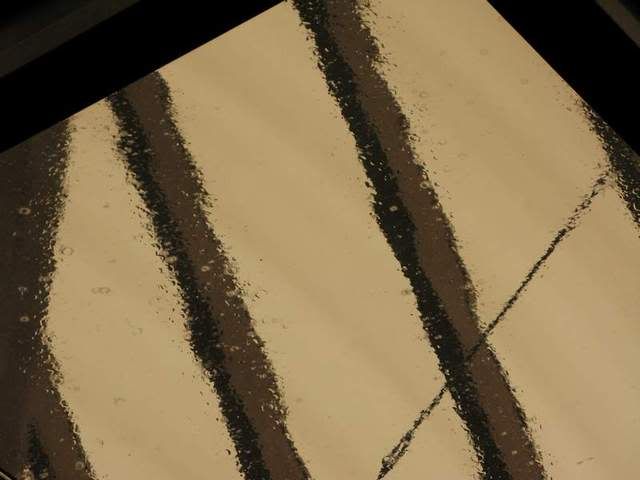 IMAGE: http://img.photobucket.com/albums/v210/Mosca/Disney%2008/IMG_0658.jpg