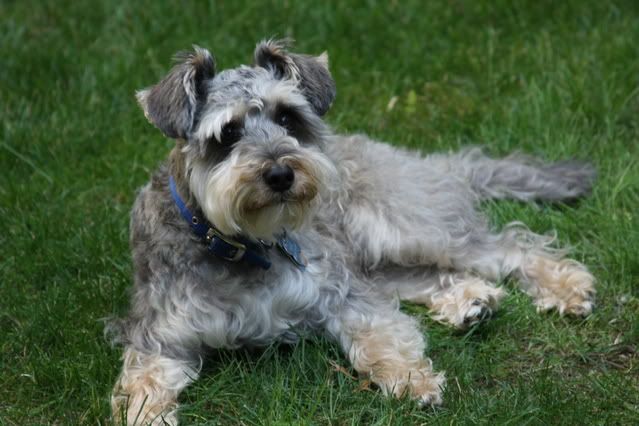 IMAGE: http://img.photobucket.com/albums/v210/Mosca/IMG_0087.jpg