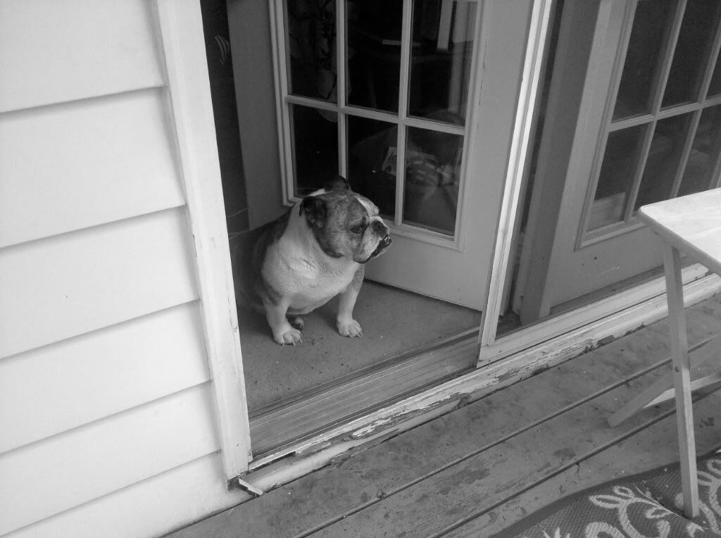 IMAGE: http://img.photobucket.com/albums/v210/Mosca/b759d686-1.jpg