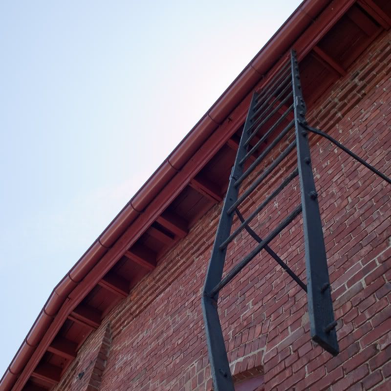 IMAGE: http://img.photobucket.com/albums/v210/Mosca/small%20squares/_5300022.jpg