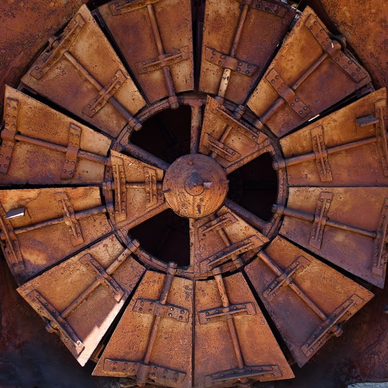 IMAGE: http://img.photobucket.com/albums/v210/Mosca/small%20squares/_5300028.jpg