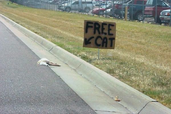 freecat.jpg