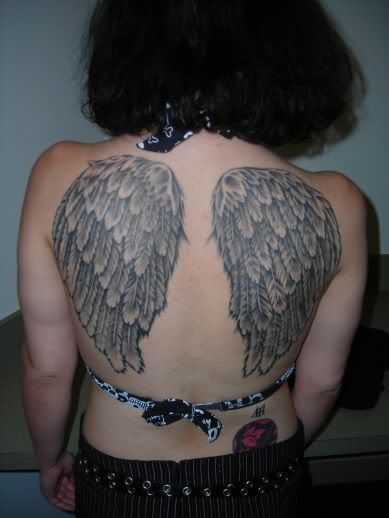 afi wings