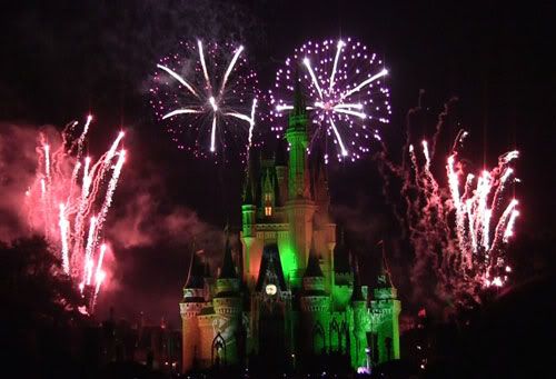 Fireworks at the Magic Kingdom