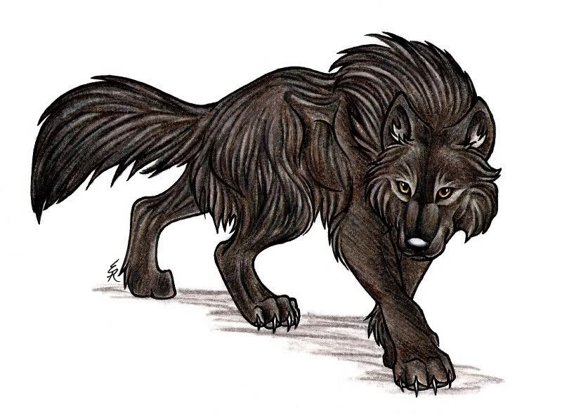 Werewolf Wolf