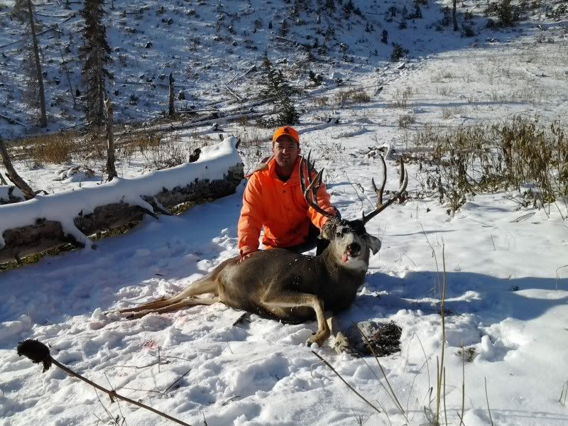 2011deer3.jpg