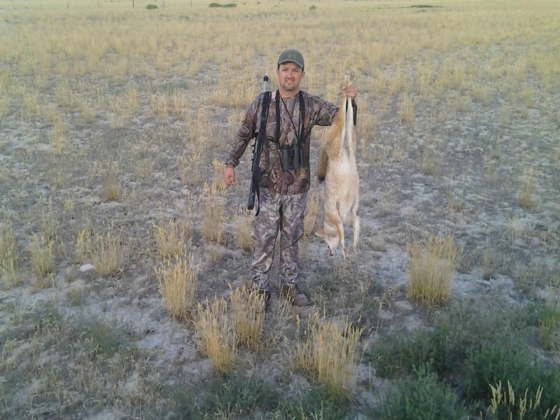 Coyote875yards_zps109de867.jpg