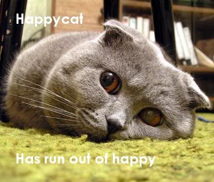 http://img.photobucket.com/albums/v211/Kediredric/happycat2.jpg