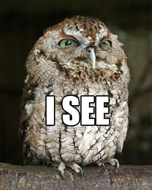 http://img.photobucket.com/albums/v211/Kediredric/owliseeaa215yv.jpg