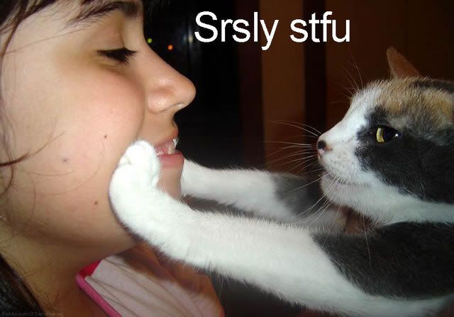 http://img.photobucket.com/albums/v211/Kediredric/stfucatsized9ti4sy.jpg