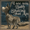 http://img.photobucket.com/albums/v211/Kediredric/thdonkeyass.gif