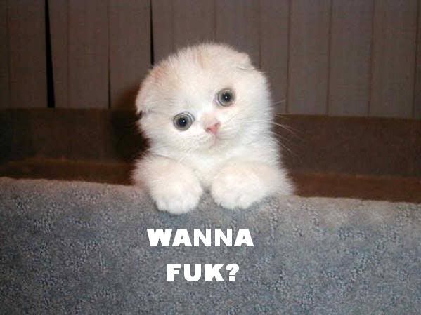 http://img.photobucket.com/albums/v211/Kediredric/wannafuk2lx.jpg