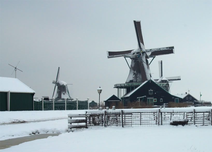 Windmill01Small.jpg