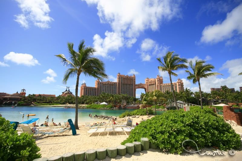 IMAGE: http://img.photobucket.com/albums/v211/my_icky_kitty/_MG_4926800x533.jpg