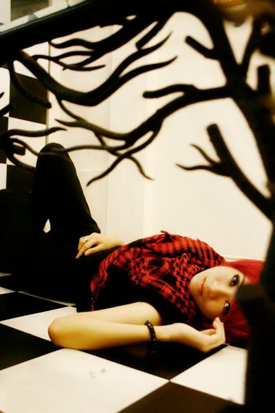 http://img.photobucket.com/albums/v211/shin_kt2/me_kt/_MG_0847copy.jpg