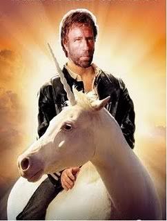 chuck_norris_unicorn.jpg