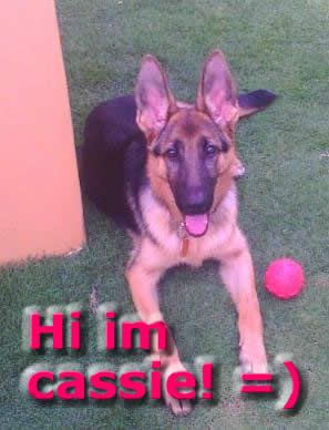 Image hosting by Photobucket